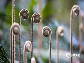 ky开元集团官网入口