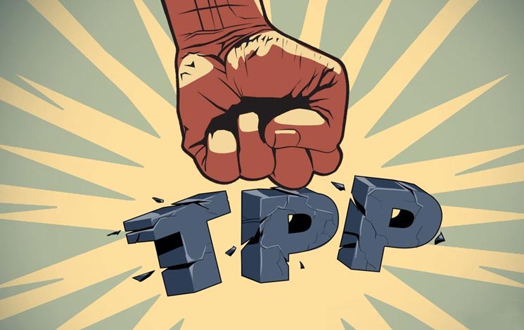 ky开元·(中国)集团官网