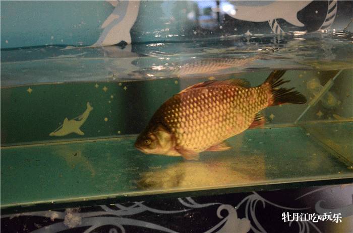 KY开元·(中国)集团