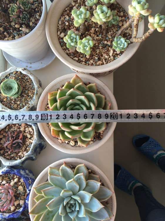 KY开元·(中国)集团