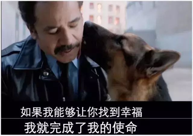 ky开元集团官网入口