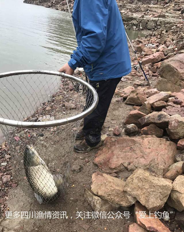 ky开元·(中国)集团官网