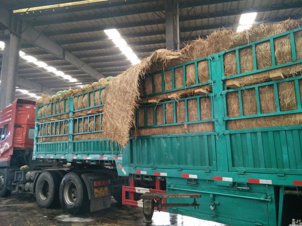 ‘ky开元·(中国)集团官网’uu加速器多少钱一个月 uu加速器需要收费吗(图2) KY开元集团官网