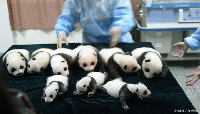 KY开元·(中国)集团