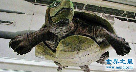 KY开元集团官网