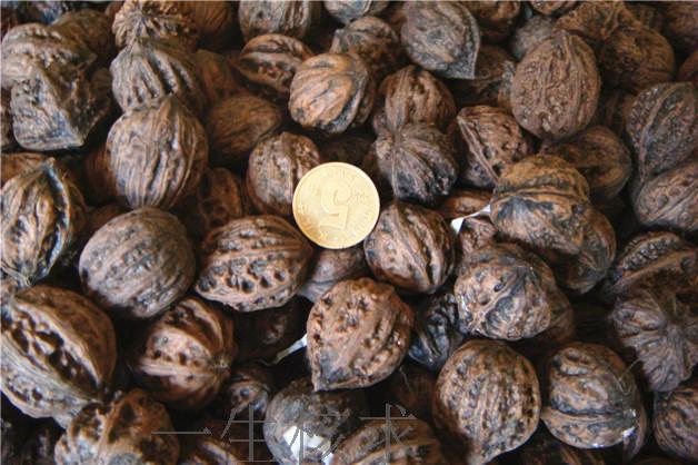 ky开元·(中国)集团官网