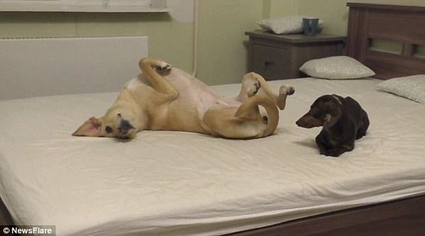 ky开元·(中国)集团官网