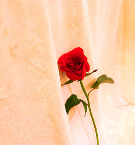 ky开元集团官网入口