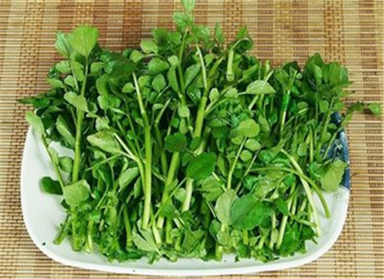 KY开元集团官网